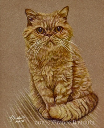 Corbie - 12 hours
brown Pastelmat Board
7.5" x 6"
Ref: Kris Evans